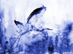 Anmutiger blauer Reiher von RodMacIver