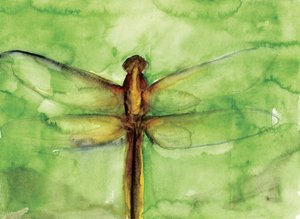 Grüne Libelle Aquarell von RodMacIver
