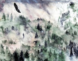 Nebliger Bergadler von RodMacIver
