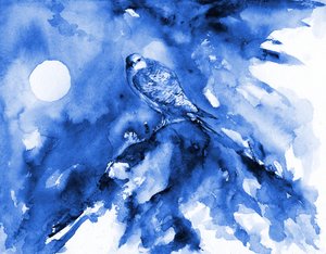 Mondbeschienener blauer Falke von RodMacIver