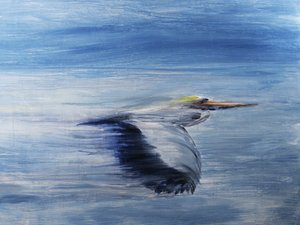 Gelassener Vogelflug von RodMacIver