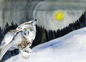 Schneeeule Wintermond