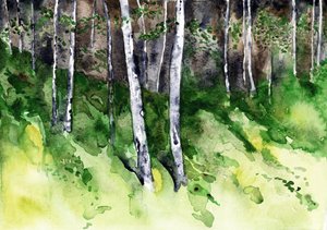 Sonnenbeschienener Birkenwald von RodMacIver