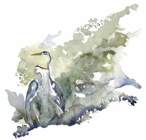 Zwei Reiher ruhiger Teich von RodMacIver