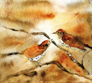 Aquarellvögel auf Zweig von RodMacIver