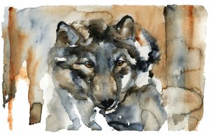 Wilder Wolf Aquarell