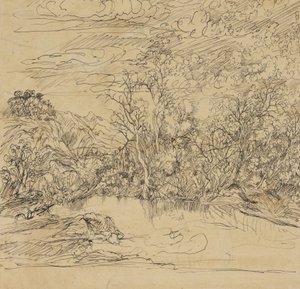 Ufer eines Teiches von Rodolphe Bresdin