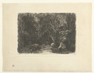 Waldlandschaft mit Bach und überhängenden Bäumen von Rodolphe Bresdin