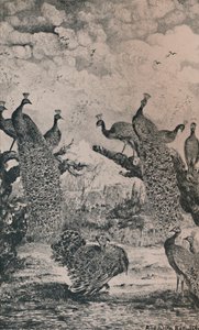 Die Pfauen, 1869, 1946