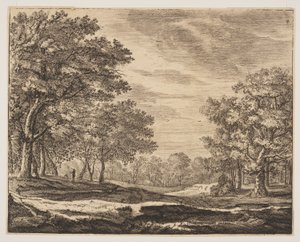 Tafel 5, aus Sechs Ansichten im Wald von Den Haag