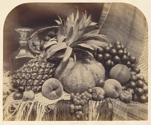[Stillleben mit Früchten und Karaffe] von Roger Fenton