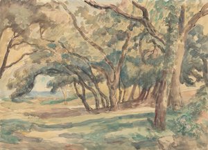 Waldlichtung in der Nähe von St. Tropez