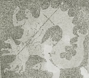 Hellenistisches Kieselmosaik von Skylla und Charybdis, die die Meerenge bewachen, Detail von Skylla, Haus des Dionysos, Paphos, Zypern