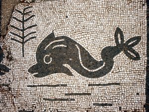 Darstellung eines Delfins nach einem Mosaik auf dem Platz der Corporazioni von Ostia Antica