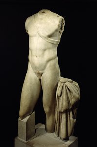 Torso des Apollo (Marmor)