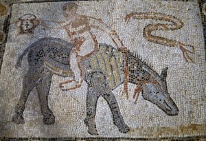 Desultor, der rückwärts auf einem Esel reitet und einen Kantharos hält, Mosaik im Haus des Desultors in der römischen Stadt Volubilis von Roman Roman
