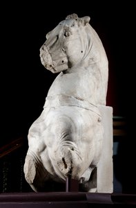 Vorderteil eines Pferdes von Roman Roman
