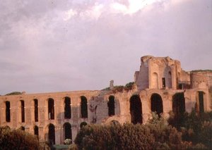 Blick auf den Palatin vom Circus Maximus von Roman Roman