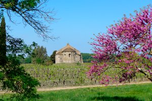Romanische Kapelle Saint-Etienne de Vaissiere in Azille (Fotografie)