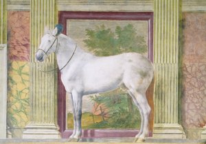 Halle der Pferde, Detail eines Porträts eines grauen Pferdes aus den Ställen von Ludovico Gonzaga III. von Mantua