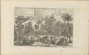 Bäume und Gewürze von Romeyn de Hooghe