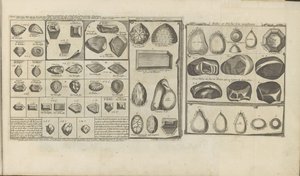 Diamanten, Rubine und Perlen von Romeyn de Hooghe