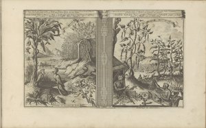 Pflanzen, Vögel und Pfefferfelder von Romeyn de Hooghe