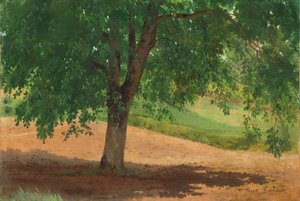 Studie von Licht und Schatten