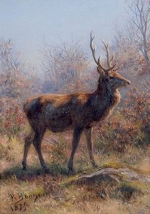 Der Hirsch