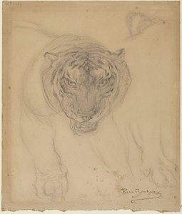 Tiger, mit Skizze der Pfote, verso: Skizze des Tigerkopfes von Rosa Bonheur