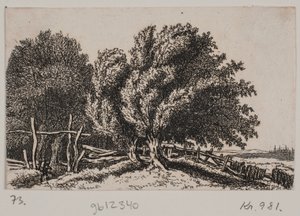 Landschaft