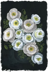 Elegante weiße Mohnblumen von Rosana Laiz Blursbyai