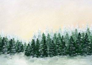 Vereister Winterwald