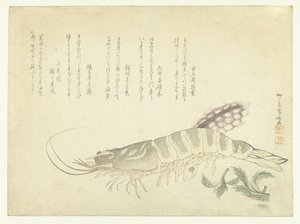 Krebs und Tintenfisch von Ryuryukyo Shinsai