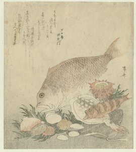 Fische und Muscheln von Ryuryukyo Shinsai