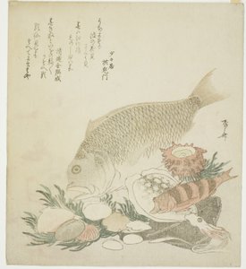 Fische und Muscheln