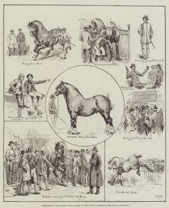 Skizzen auf der Shire Horse Show, in der Royal Agricultural Hall, Islington