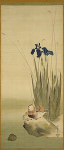 Iris und Mandarinenten