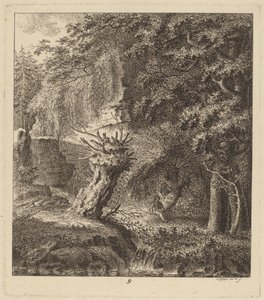 Waldlandschaft mit einem gestutzten Baum von Salomon Gessner