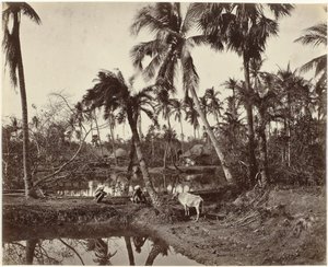 Dorfansicht in Bengalen, Indien von Samuel Bourne (signed by artist)