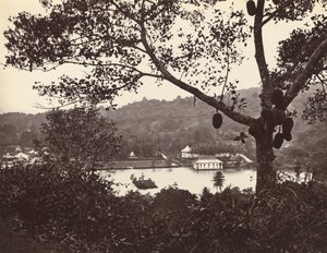 Ein Blick von der Upper Lake Road mit Tempel und Insel im Park - Obstbaum im Vordergrund