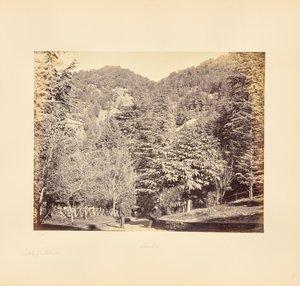 Simla; Jakko, von "Oakover" (Gesamtansicht von der Tonga-Straße)