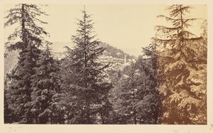 Simla; Die Kirche durch die Bäume, von Jakko