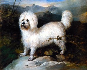 Kleiner weißer Hund in einer Landschaft von Samuel Coleman