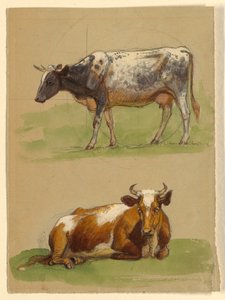 Vieh, eine gehende Kuh und eine kauernde Kuh von Samuel Colman