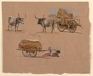 Zeichnung, Ochsenkarren, Rom, Italien, Januar 1873