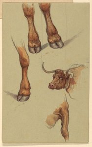 Zeichnung, Skizzen aus Narragansett, Rhode Island, 1871
