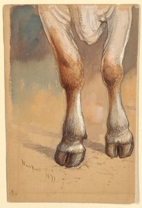 Zeichnung, Studien nach Rindern, 1871