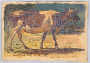 Zeichnung, Studien. Kühe, August 1876