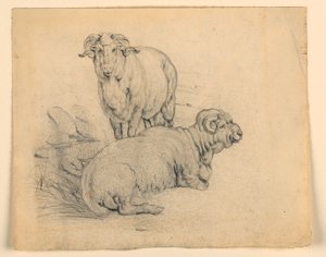 Studie. Zwei Widder., ca. 1850
